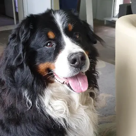 호텔 Goldenes Kreuz 3*