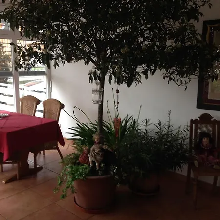 מלון Goldenes Kreuz 3*