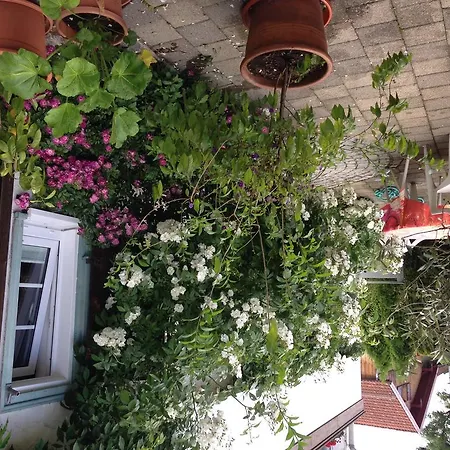 호텔 Goldenes Kreuz