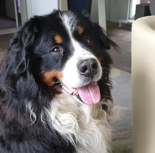 Hotel Goldenes Kreuz 3*