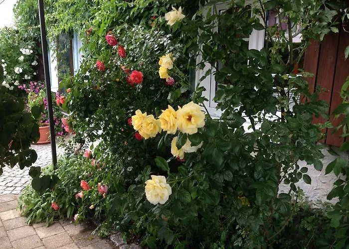 Goldenes Kreuz Hotel 3*