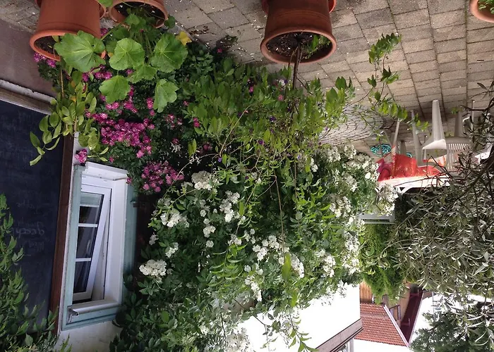 Hotel Goldenes Kreuz